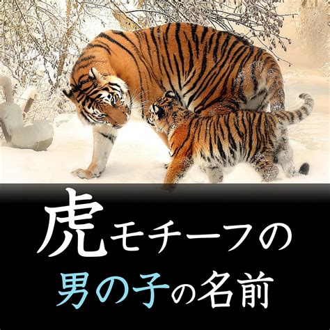 虎風水|風水での虎が表す意味や効果とは！？ 